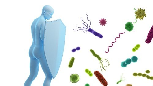 LE SYSTEME IMMUNITAIRE
