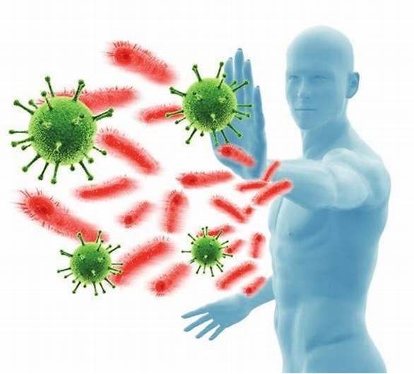 IMMUNO-HEMATOLOGIE ET TRANSFUSION: EXERCICE DE CONTROLE