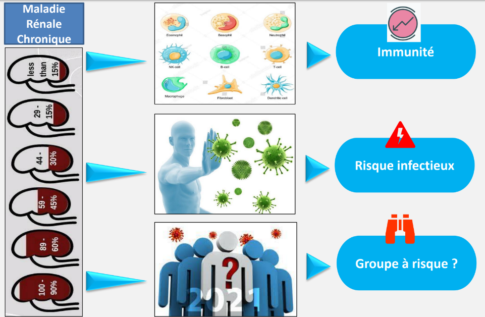 IMMUNO-HEMATOLOGIE ET TRANSFUSION: DEUXIEME SERIE D’EXERCICE CONTRÖLE