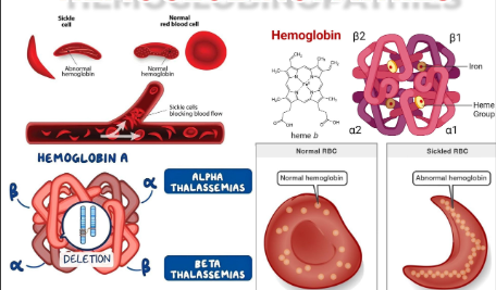 QUESTION D’HEMATOLOGIE