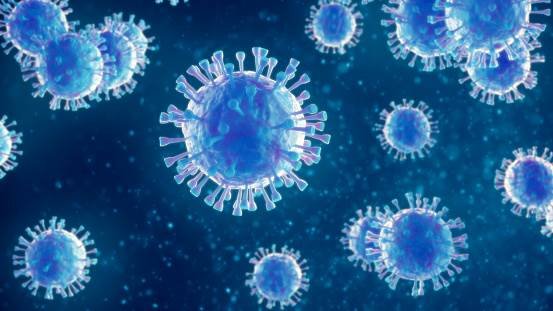 LES VIRUS