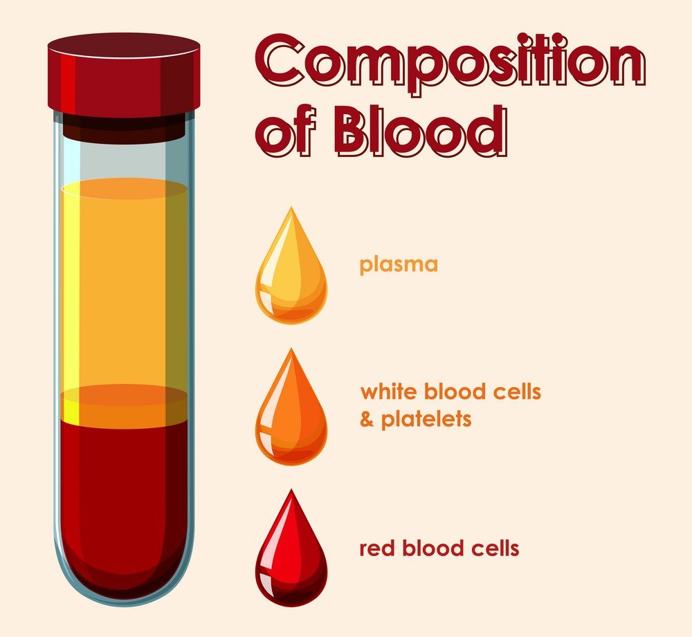 HEMATOLOGIE
