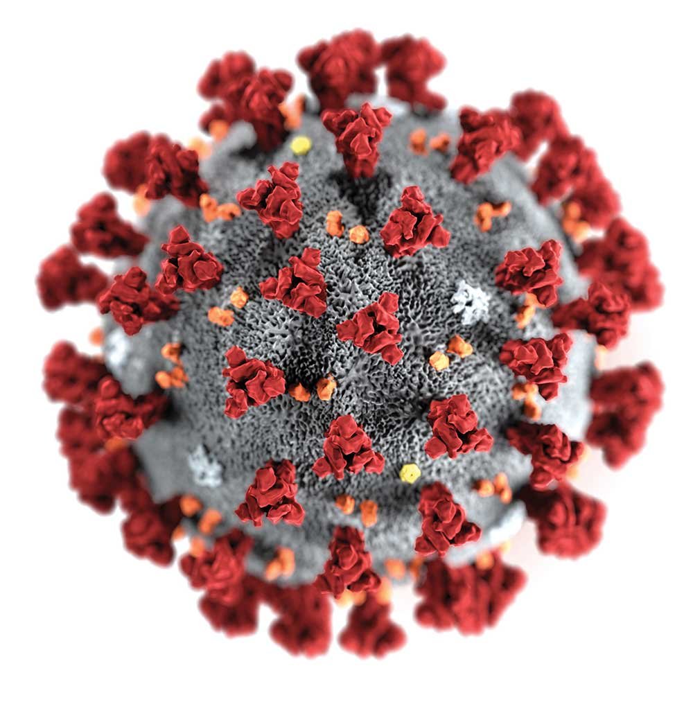 VIROLOGIE MÉDICALE